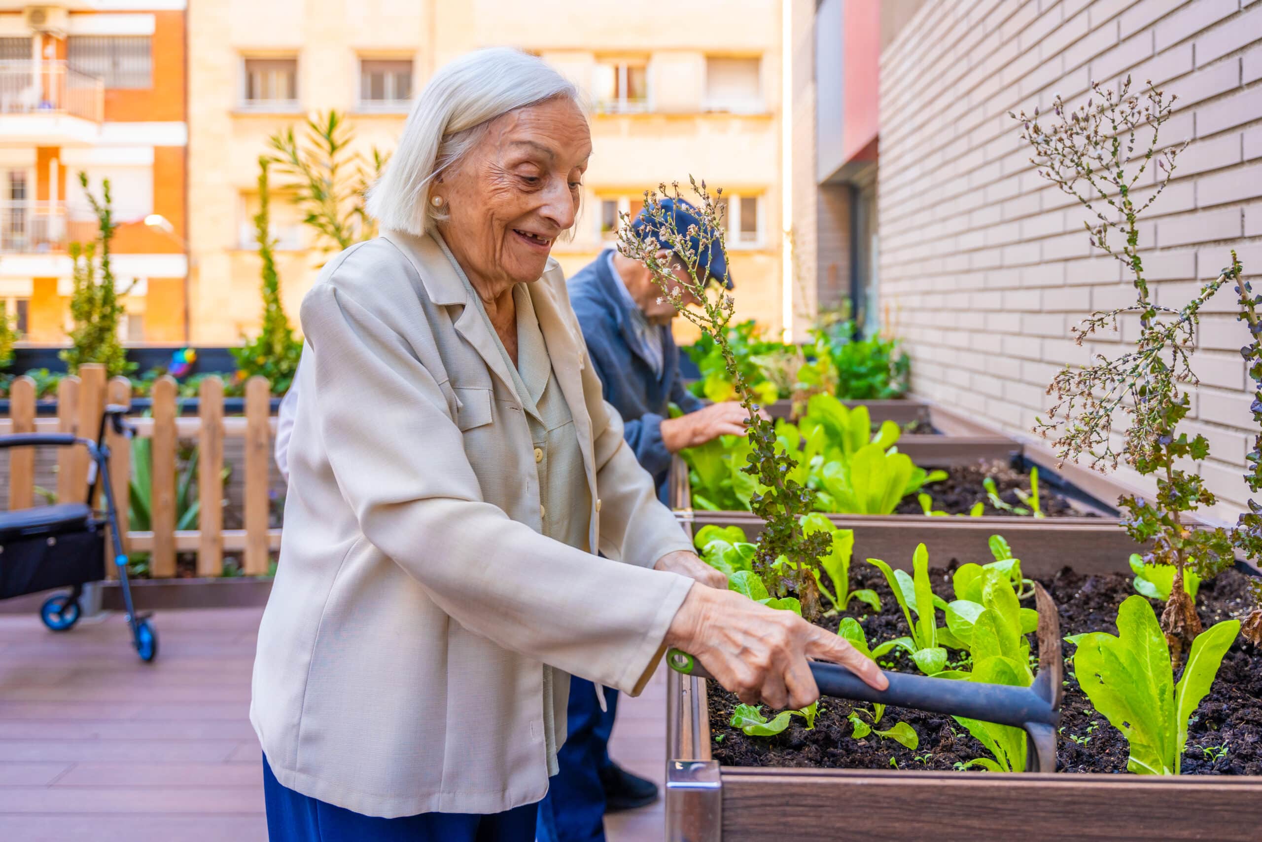 Senior woman planting lettuce in a garden in a geriatric